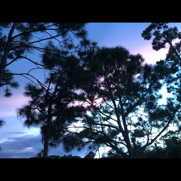 Meet your Posher, Kalea - Picture 2 of 3